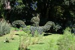 Giardino botanico