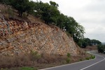 Scansano