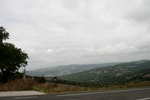 Scansano