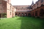 Basler M&uuml;nster