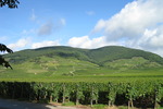 Kintzheim