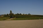 Sigolsheim