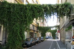 Stra&szlig;burg