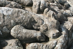 Rotheneuf