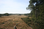 Carnac