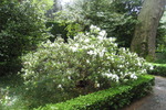 Villa Lante