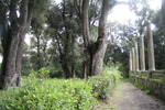 Villa Lante