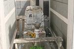 Tarquinia