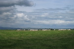Tarquinia