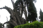 Villa d'Este