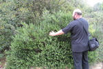 Giardino dei Tarocchi