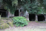 Sutri