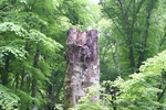 Monte Cimino