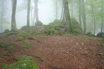 Monte Cimino