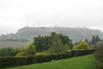 Blick auf Orvieto