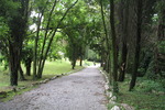 Timavo