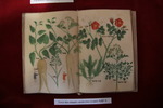 Humanistenbibliothek