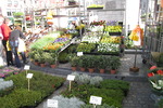 Grote Markt