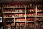 Muesum