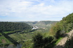 Mosel