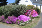 Plougrescant