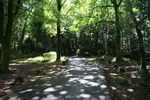 Land&eacute;vennec