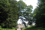 Land&eacute;vennec