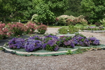 Jardin Shamrock