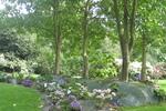 Jardin Shamrock