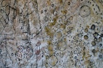 Fasadendetail