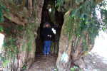 Estry