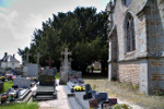 Estry
