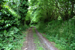 Der Weg zur Kapelle