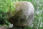 Le Champignon G&eacute;ant