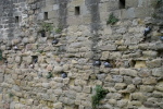 Carcassonne
