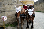 Carcassonne