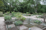 Botanischer Garten