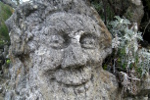 Roth&eacute;neuf