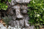 Roth&eacute;neuf