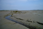 Tr&eacute;gon