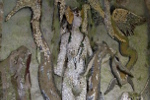 Italienische Grotte