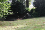 Brunnen