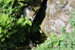 Brunnen