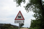 Achtung Schafe
