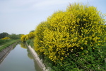 Bew&auml;sserungskanal