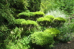 Bambusgarten