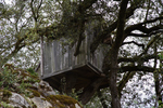 Baumhaus