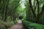 Jardins de Marqueyssac