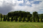 Baumskulpturen