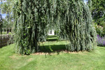 Manoir d'Eyrignac